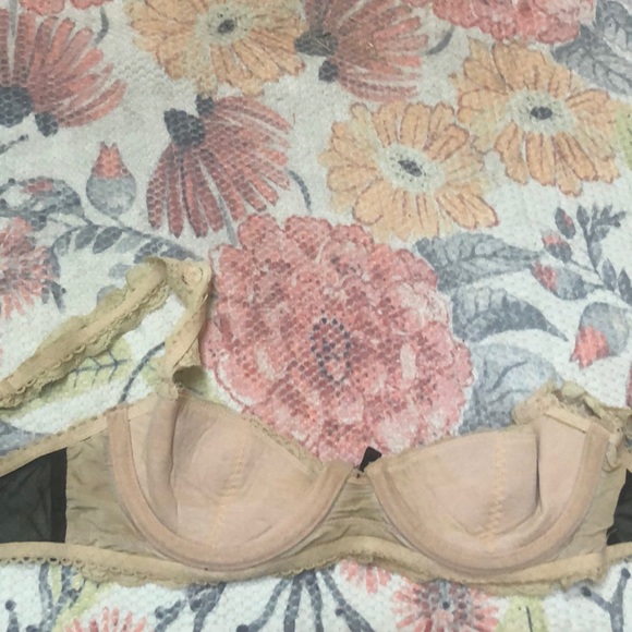 34b lacy bra - Picture 3 of 4